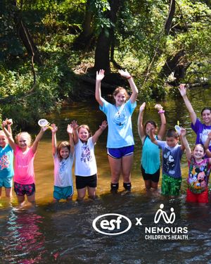 Image post by @esfcamps on Instagram