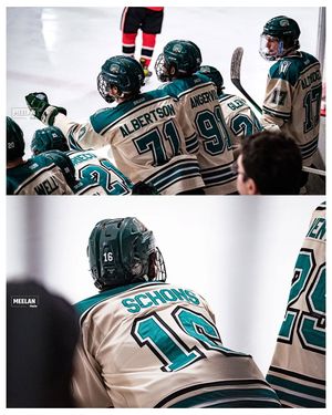 Image post by @meelan_media on Instagram