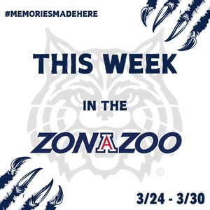Image post by @zonazooofficial on Instagram