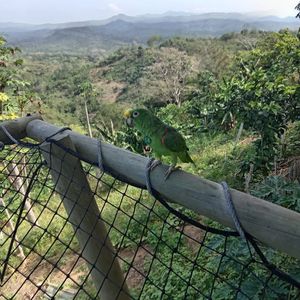 Image post by @fundacionloros on Instagram
