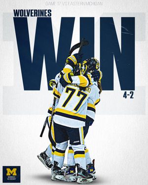 Image post by @umichwhockey on Instagram