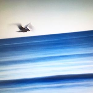 Image post by @brunarotunno on Instagram