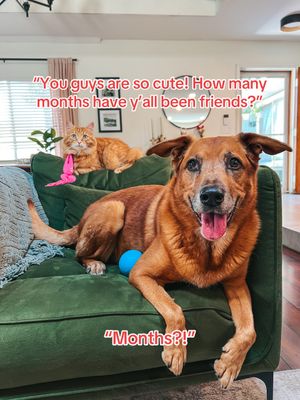 Video post by @petsmart on TikTok