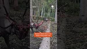 Video post by @accuweather on YouTube