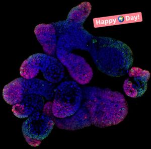Image post by @biohub on Instagram