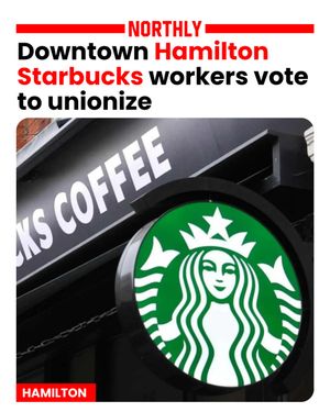 Image post by @northlyhamilton on Instagram