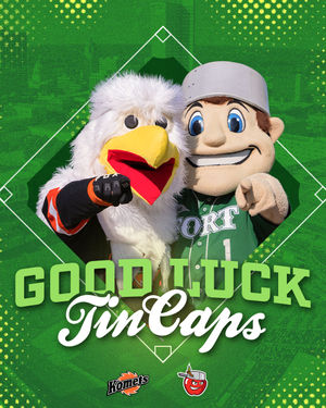 Image post by @fwkomets on Instagram
