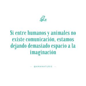 Image post by @amanaturis on Instagram