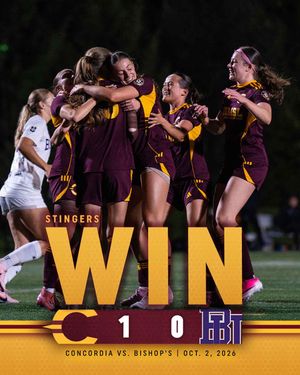Image post by @the_stingers on Instagram