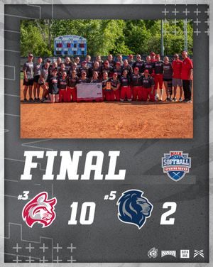 Image post by @iwuwildcats on Instagram