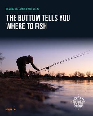 Image post by @brothercarp on Instagram