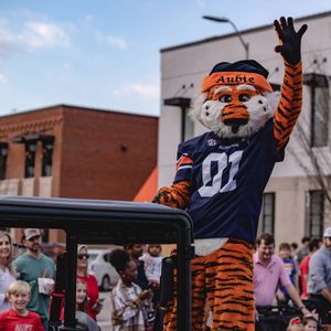 Image post by @maustinphoto on Instagram