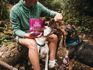 Image post by @triumphpetfood on Instagram