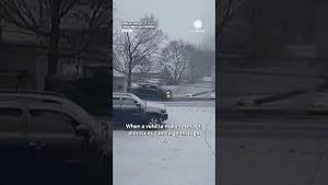 Video post by @accuweather on YouTube