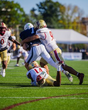 Image post by @elonfb on Instagram