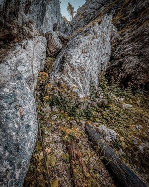 Image post by @cristan.nature.photography on Instagram