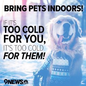 Image post by @9newsdenver on Instagram