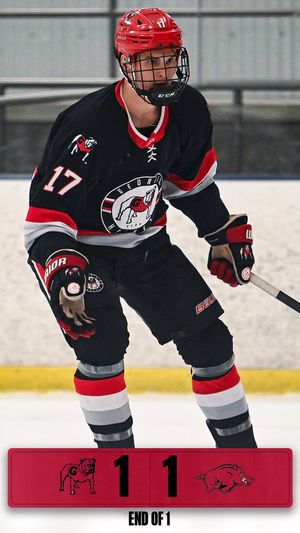 Image post by @UGAHockey on Twitter/X