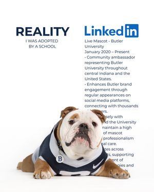 Image post by @thebutlerblue on Instagram