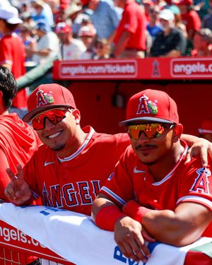 Image post by @thecactusleague on Instagram