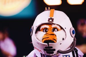 Image post by @aubiethetiger01 on Instagram