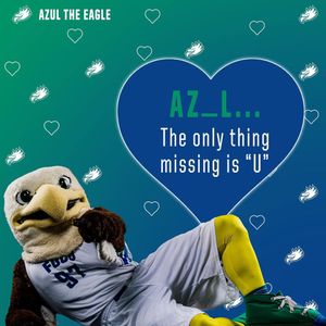 Image post by @fgcuathletics on Instagram