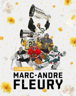 Image post by @penguins on Instagram