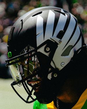 Image post by @goducks on Instagram