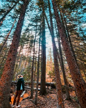 Image post by @shauns_shots on Instagram
