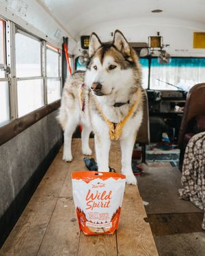 Image post by @triumphpetfood on Instagram