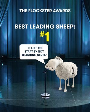 Image post by @serta on Instagram