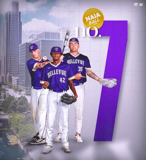 Image post by @bubruins_bsbl on Instagram