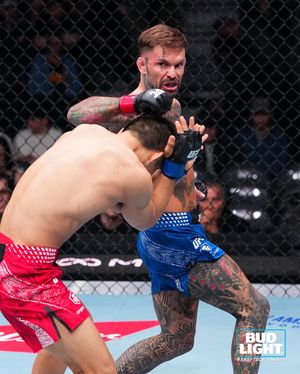 Image post by @ufc on Instagram