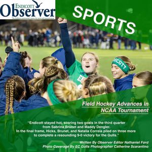 Image post by @endicottobserver on Instagram