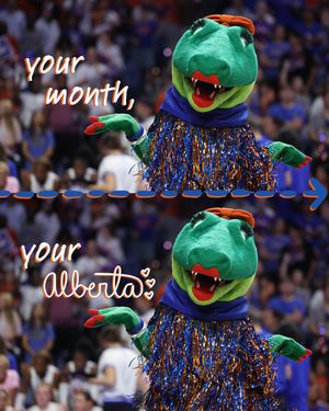 Image post by @albertathegator on Instagram