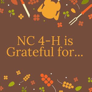 Image post by @northcarolina4h on Instagram