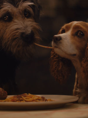 Video post by @disneystudios on TikTok