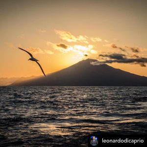 Image post by @rspb on Instagram