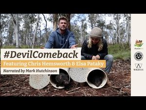 Video post by @rewild on YouTube