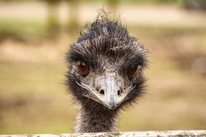 Image post by @charlieskinnermedia on Instagram