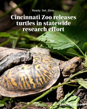 Image post by @enquirer on Instagram