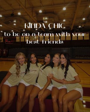 Image post by @fsugoldengirls on Instagram
