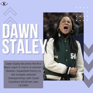 Image post by @thesportspov on Instagram