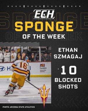 Image post by @everythingcollegehockey on Instagram