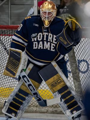 Image post by @goaliegearnerd on Instagram