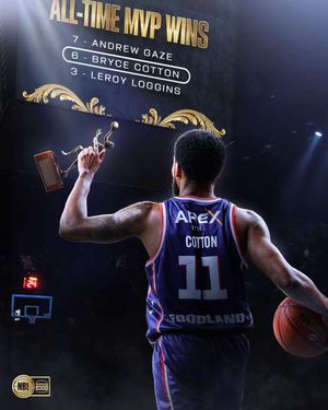 Video post by @nbl on TikTok