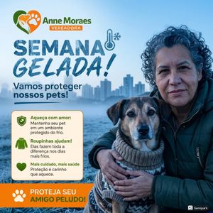 Image post by @annemoraesvereadora on Instagram