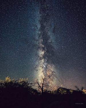 Image post by @shauns_shots on Instagram