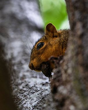 Image post by @ajl3photo on Instagram