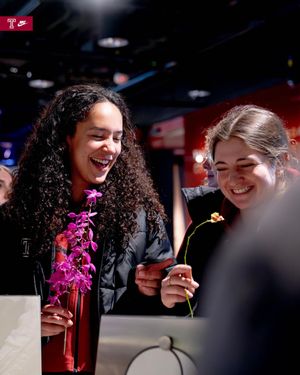 Image post by @templefencing on Instagram